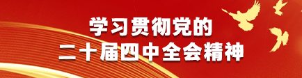 学习贯彻党的二十届四中全会精神